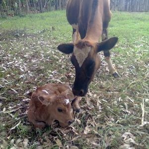 Profile Picture of Eric Ivan (@Ericoivan) on Twitter