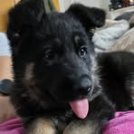 Profile Picture of Richard Tréfa (@richard.trefa.52) on Facebook