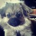 Profile Picture of PAINTING Ideas (@brianzappa7) on Pinterest