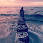Profile Picture of Yousef Harb (@yousef.harb.79) on Instagram