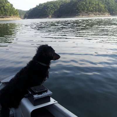 Profile Picture of JOEL SPAFFORD (@JoelSpafford) on Twitter