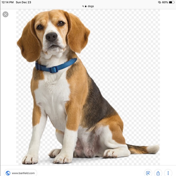 Profile Picture of Josh Lancaster (@bet10cort2) on Poshmark