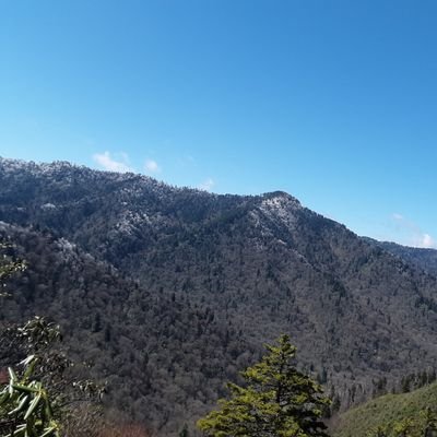 Profile Picture of Mr_ Me234 (@AdamJansen11) on Twitter