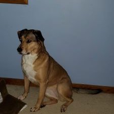 Profile Picture of John McLeod (@johnmcleod2009) on Twitter