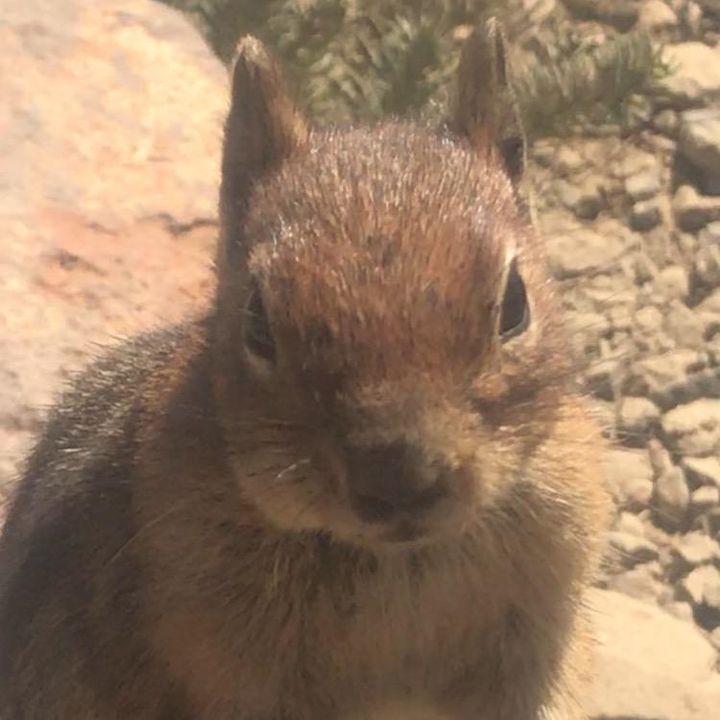 Profile Picture of Ava G (@ava_goode) on Tiktok