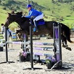 Profile Picture of Alicia Michael (@am_showjumping) on Instagram