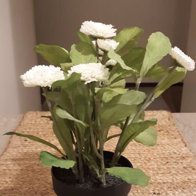 Profile Picture of Kim Maria (@KimMari46054539) on Twitter