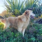 Profile Picture of Jimmy (@_jeremy_luke_) on Instagram