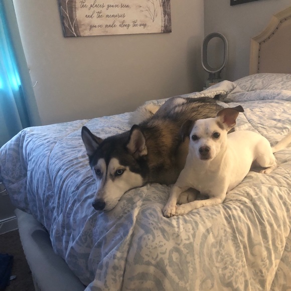 Profile Picture of Adam r Oliva (@callmetmoney) on Poshmark