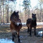 louis ransome - Instagram Profile Picture of louis ransome (@easy_rt) on Instagram