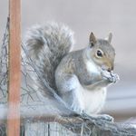 Profile Picture of Paul Burns (@paulburns222) on Instagram