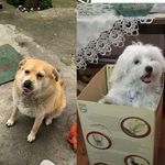 Profile Picture of 4 găluște (@_milo_fetita_tommy_si_luk) on Instagram