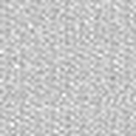 Profile Picture of Xi-zhang (@Xi-zhang) on Flickr