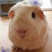 Profile Picture of Lorraine Manning (@lorraine.manning.9803) on Facebook