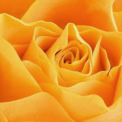 Profile Picture of Aaron Dembe (@aarondembe) on Youtube