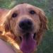 Profile Picture of Luz Manzo (@lecha259901roxy) on Pinterest