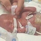 Profile Picture of Bryan Mccorkle (@bryanmccorkle20) on Pinterest