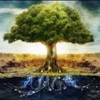 Profile Picture of Michael Konig (@michael-konig-4) on Quora