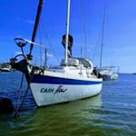 Profile Picture of Erik Steenberg (@sail.anchor.surf) on Instagram