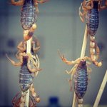 Profile Picture of Christopher Garside (@christophergarside_) on Instagram