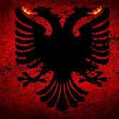 Profile Picture of ALEX DOCAJ (@docaj_alex) on Twitter