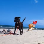 Profile Picture of Melanie Claus (@melanie.claus.71) on Facebook