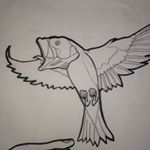 Profile Picture of Jesse Muse (@bucketwraps) on Instagram