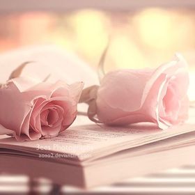 Profile Picture of Habiba Ansari (@ansarihabiba9960) on Pinterest