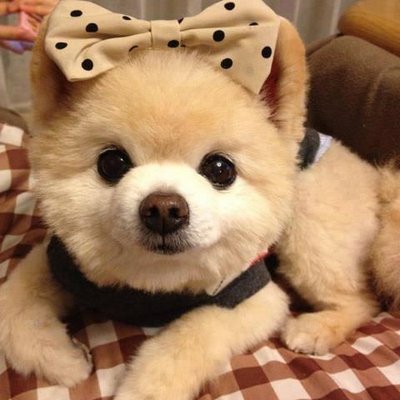Profile Picture of Kevin Leo Dion (@nandarck25) on Twitter