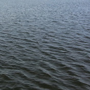 Profile Picture of Brent Waguespack (@brentwaguespack685) on Youtube