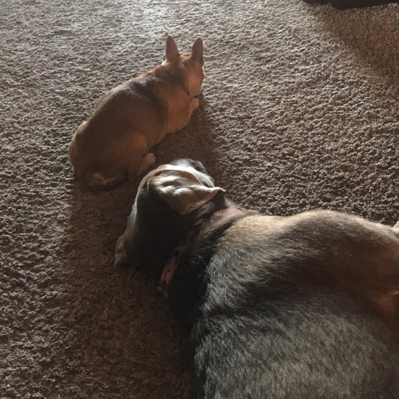 Profile Picture of Jim Field (@siemensjim) on Poshmark