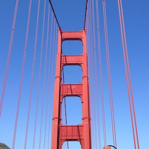 Profile Picture of Kevin Lally657 (@kevinlally0) on Tiktok