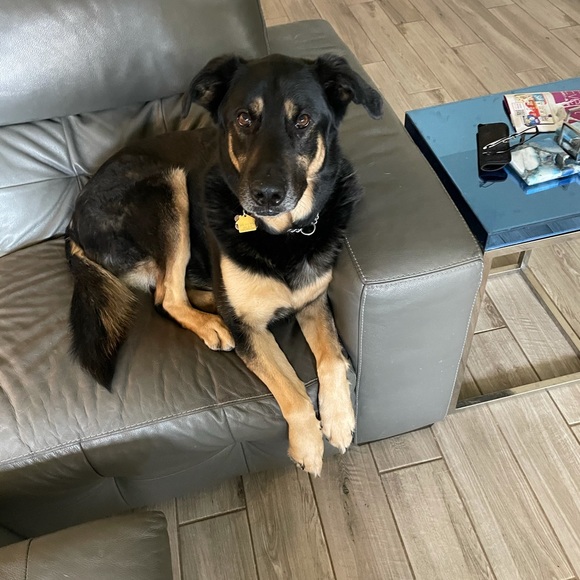 Profile Picture of Jeff Hammond (@jeffthammond) on Poshmark