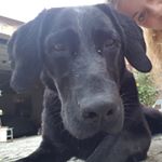 Profile Picture of Amy {Labby} (@amy.labby) on Instagram