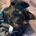 Profile Picture of Kevin Haynes (@kevin.haynes.3158) on Facebook