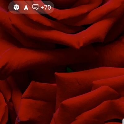 Profile Picture of Cassandra Brayboy (@cassybbrayboy) on Twitter