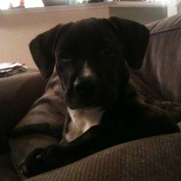 Profile Picture of Tracie Cannon (@joryzabr) on Poshmark