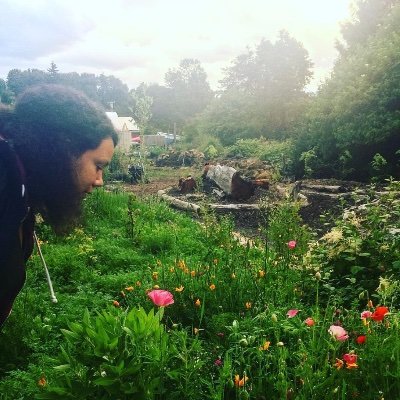 Profile Picture of Stefanie Steele (@BeesOfSteele) on Twitter