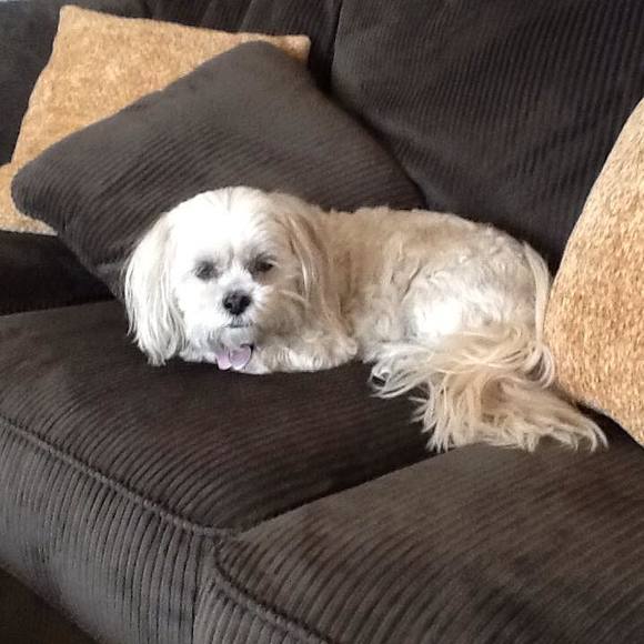 Kathi Heikens - Poshmark Profile Picture of Kathi Heikens (@kathiheikens) on Poshmark