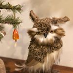 Profile Picture of Jeremy Lutz (@lutzing2it) on Instagram