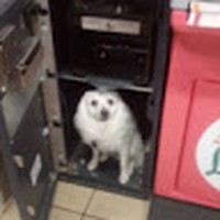 Profile Picture of Tony Blade (@tony-blade-14) on Quora