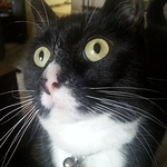 Profile Picture of Pamela Barrett (@pamelabarrett40) on Flickr