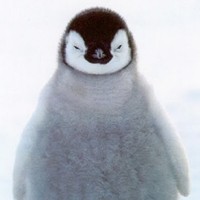 Profile Picture of Alex Kozlowski (@alex-kozlowski-4) on Quora