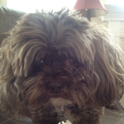 Profile Picture of Bryan Ojala (@BryanOjala) on Twitter