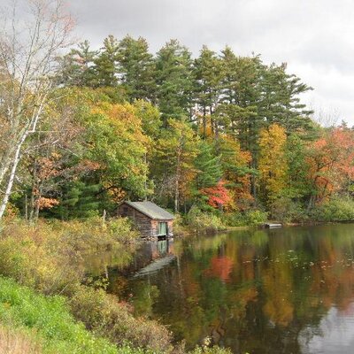 Profile Picture of Debbie Dumont (@countryluva3813) on Twitter