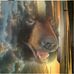 Profile Picture of Robert Kirkpatrick (@robert.kirkpatrick.102361) on Facebook