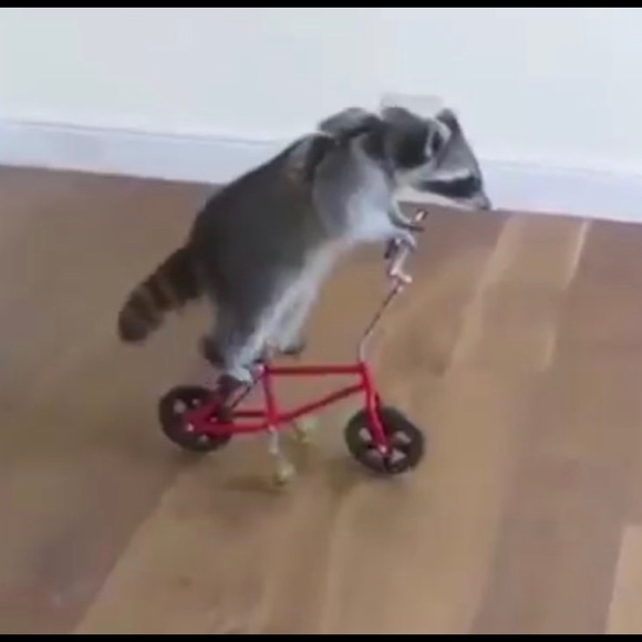 Profile Picture of Christopher Uy (@takwun) on Poshmark