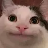 Profile Picture of Jeffreyp (@jajo.the.king) on Tiktok