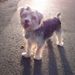 Profile Picture of Carly Benjamin (@carlybenj) on Pinterest