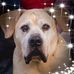 Profile Picture of Kaye Roberts (Lincoln) (@kaye.roberts.1217) on Facebook